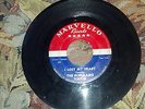 The Populairs Original MARVELLO 5001 Island Of Paradise I Lost My Heart Sheldon