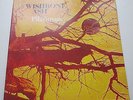 WISHBONE ASH 'PILGRIMAGE' ORIG UK RED/BROWN LABEL'71 SUPER NICE COPY