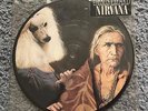 THE JESUS LIZARD / NIRVANA - PUSS / OH, THE GUILT Australian Picture disc 7