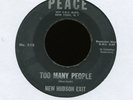NEW HUDSON EXIT Too Many People on Peace Garage Mod 45 Hear