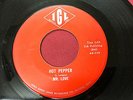 Mr. Love 1966 GARAGE BLUES 45 Hot Pepper / Ease The Pain on IGL Label Iowa HEAR