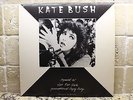 Kate Bush Suspended, Sat In Your Lap, Pull Out Pin, There Goes Tenner US Promo