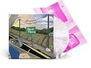 NEW SUPER RARE Frankie Cosmos - Next Thing Limited Clear Vinyl zentropy