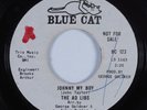 Northern Soul 45 AD LIBS Johnny My Boy BLUE CAT VG+ HEAR