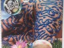 JELLYFISH Bellybutton 1990 LP Gold Stamp PROMO Record Tri-Fold Cover NM Vinyl
