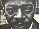 Little Walter: Hate To See You Go-1969 Chess Orange & Blue Label 33RPM Stereo LP