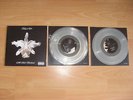 KINGS OF LEON - Aha Shake Heartbreak - VINYL - Original UK Numbered Clear 10