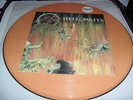 SLAYER -HELL AWAITS- AWESOME RARE LTD EDITION PICTURE LP COMBAT USA 1985 EX+