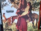 Orig '69 Freaky Acid Female Psych Powerhouse LP Fear Itself S/T DOT EX HEAR
