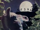 Decca SXL2060 - Mendelssohn - A Midsummer Nights Dream - MAAG - CLASSIC DECCA