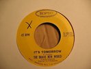 BRAVE NEW WORLD-It's Tomorrow 45 COOL 2-sided 60s GARAGE psych 1967 FUZZ & ORGAN