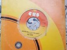 PINK FLOYD - Another brick in the wall /  45 COSTA RICA PRESS // VG+