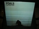 FOALS **What Went Down **BRAND NEW 180 GRAM RECORD LP VINYL