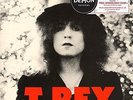 The Slider [VINYL] T.Rex Vinyl