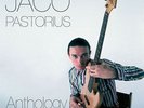 Jaco Pastorius Anthology The Warner Bros Years 12 Inch Vinyl LP Record 2015 Neu