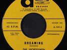 SPORTESMEN: Dreaming / Sand Storm 45 (surf instro) rare Oldies