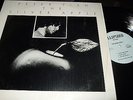 PETER FISH : THE SILVER APPLE LP 1975 ELLIPSOID RECORDS 01 USA