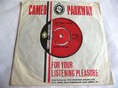 CHUBBY CHECKER   EVERYTHING'S WRONG ** 1965 CAMEO PARKWAY 45 MINT- Northern