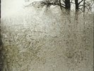 For Emma Forever Ago (Vinyl), Bon Iver, Vinyl, 0652637280913