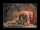 Atomic Rooster: Death Walks Behind You, LP (analog)