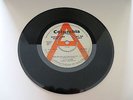 Little Richard  - 'Poor Dog (who can't wag his own tail)' - 1966 original vinyl