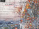 Explosions In The Sky - The Wilderness (Vinyl 2LP - 2016 - UK - Original)