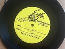 Sunny Day Real Estate TEST PRESS How It Feels To Be Something On 7