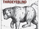 Ursa Major - Third Eye Blind (2009, Vinyl NEW)