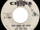 1966 MOD GARAGE BLUES & FOLK ROCK HAMMOND HIPSHAKER 45 - BABY JOHN HINDS - HEAR