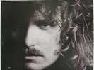 JOHNNY VAN ZANT Brickyard Road 1990 US ORG LP Minty LYNYRD SKYNYRD 38 Special
