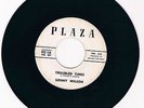 RARE  45 Plaza Record 