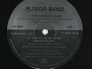Flavor Band - I Wanna Dance With You 12