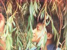 LOVERS ROCK LP PAULETTE WALKER IS THERE A PLACE IN YOUR HEART FOR ME reggae