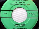 CINCINNATIANS Do what you want to do Magic genie DOOWOP 45 Emerald records e5400