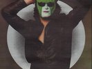 Steve Miller Band The Joker GREEN VINYL Capitol Vinyl LP