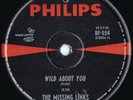 Missing Links ORIG OZ 45 Garage Punk killer Wild about you VG+ ’65 Philips BF224