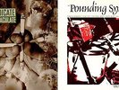 DUB  SYNDICATE - 2 x vinyl LPs - Pounding System / Stoned Immaculate