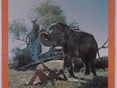 MASEKELA I Am Not Afraid BLUE THUMB LP SEALED