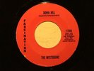 THE MYSTERIONS Down Hill FASCINATION M-  hear soundclip GARAGE