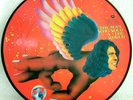 DAVID BOWIE-THE MAN WHO SOLD THE WORLD- PICTURE DISC PRE ORDER RSD 2016