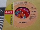 Wild Fuzzed Out Mod Freakbeat Psych Promo 45 The Eggy You're Still Mine NM HEAR
