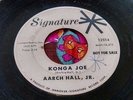 Killer '59 Exotica Popcorn R&B Rocker DJ 45 Aarch Hall JR. Konga Joe Promo HEAR
