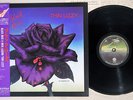 THIN LIZZY BLACK ROSE A ROCK LEGEND VERTIGO 17PP-2 Japanese Pressing OBI LP