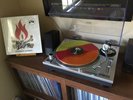 Hit The Lights - Summer Bones Vinyl LP Tri Color