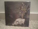 Steve Gunn Black Twig Pickers Seasonal Hire YELLOW colored Vinyl lp SOLD OUT/500