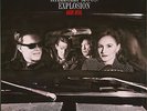 The Hillbilly Moon Explosion - Raw Deal (LP, 180g Vinyl) - Vinyl Revival/Neo ...
