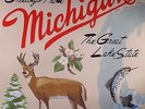 STEVENS, Sufjan - Greetings From Michigan The Great Lake State - Vinyl (2xLP)
