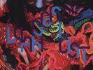 BJORK - WANDERLUST NEW VINYL
