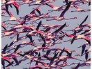 Deftones - Gore