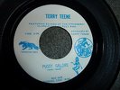 NEVER NM PLAYED TERRY TEENE Private Pressing 45 PUSSY GALORE,CURSE OF THE HEARSE